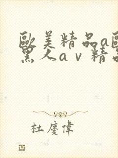 欧美精品a欧洲黑人aⅴ精品