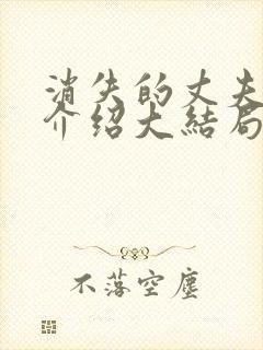 消失的丈夫剧情介绍大结局