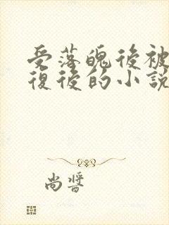 受落魄后被攻报复后的小说