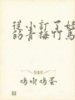 从小订了娃娃亲的青梅竹马文封面