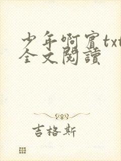 少年啊宾txt全文阅读