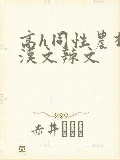 高h同性农村壮汉文辣文