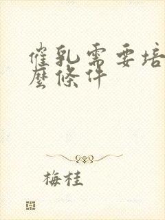 催乳需要培训什么条件