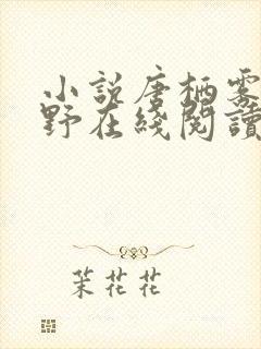 小说唐栖雾靳沉野在线阅读