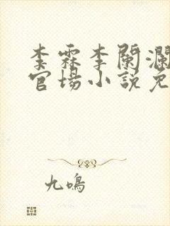 李霖李阑澜巅峰官场小说免费阅读