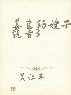 善良的嫂子在线观看3封面