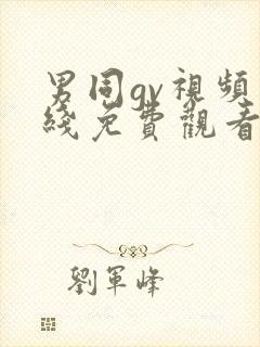 男同gv视频在线免费观看