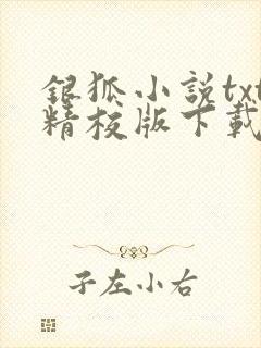 银狐小说txt精校版下载