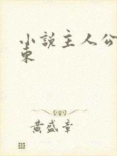 小说主人公徐文东