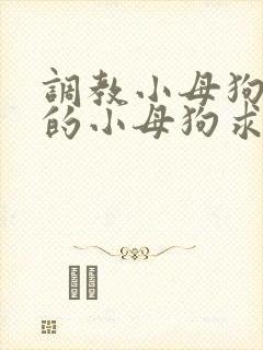 调教小母狗 操的小母狗求饶