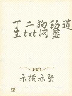 丁二狗的逍遥人生txt网盘