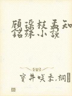 顾瑶枝孟知衍宋铭殊小说