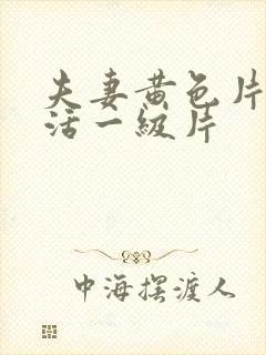 夫妻黄色片性生活一级片