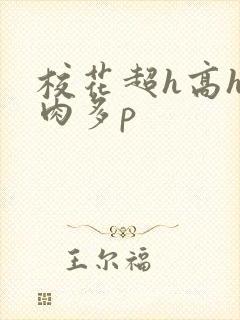 校花超h高h污肉多p