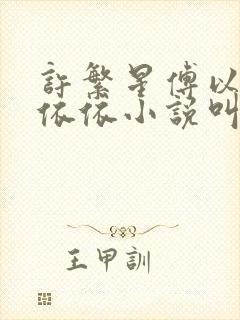 许繁星傅以辰林依依小说叫什么名字