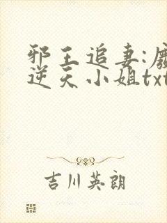 邪王追妻:废材逆天小姐txt