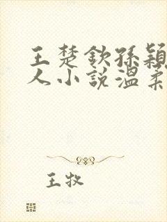 王楚钦孙颖莎同人小说温柔