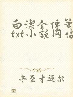 白洁全传笔趣阁txt小说网站在线阅读