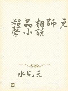 超品相师免费有声小说封面