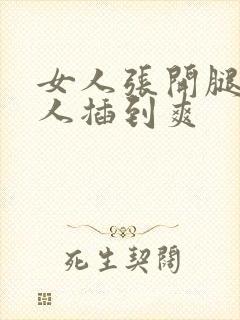女人张开腿让男人插到爽封面