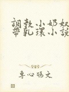 调教小奶奴穿环带乳环小说封面