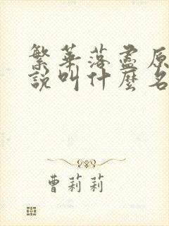 繁华落尽原著小说叫什么名字