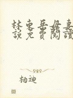 林东岳母妻子小说免费阅读全文无弹窗封面