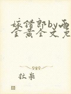 嫁错郎by两面金黄全文免费阅读笔趣阁封面