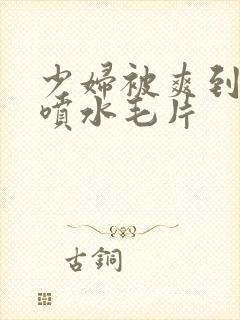 少妇被爽到高潮喷水毛片