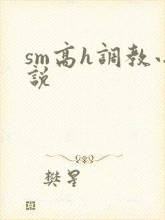 sm高h调教小说