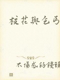 校花与乞丐杨乐