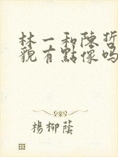 林一和陈哲远相貌有点像吗封面