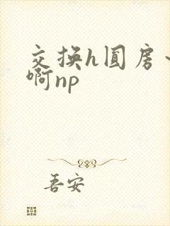 交换h圆房～嗯啊np