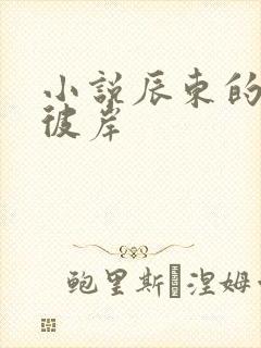 小说辰东的深空彼岸封面