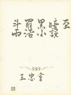 斗罗黑暗至尊霍雨浩小说