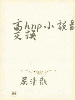 高hnp小说乱交换