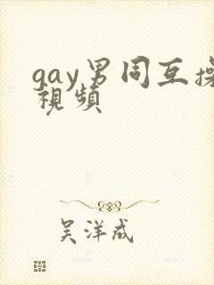 gay男同互操视频