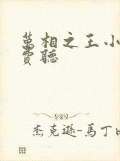 万相之王小说免费听封面