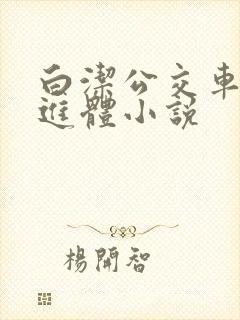 白洁公交车被挺进体小说封面