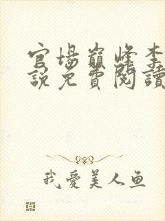 官场巅峰李霖小说免费阅读