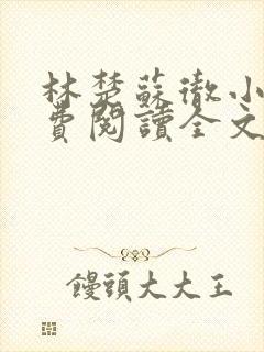 林楚苏彻小说免费阅读全文最新章节封面