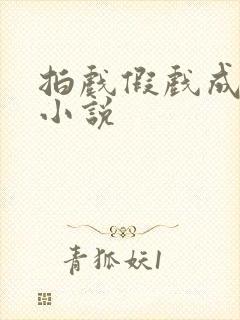 拍戏假戏成真的小说