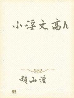 小淫文高h