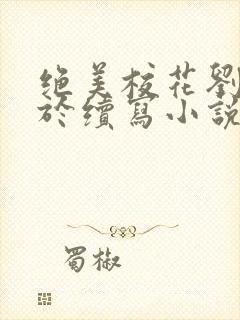 绝美校花刘静老于续写小说封面