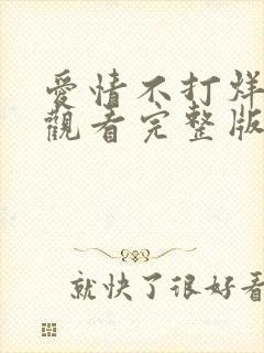 爱情不打烊免费观看完整版全集