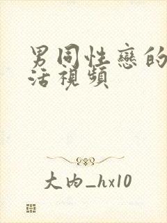 男同性恋的性生活视频