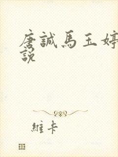 唐诚马玉婷的小说