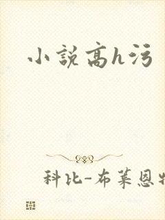小说高h污