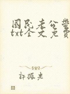 国民老公带回家txt全文免费阅读封面