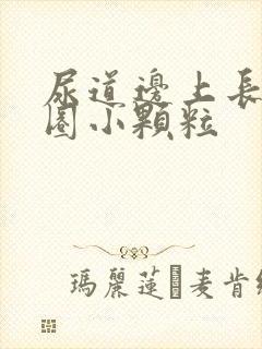 尿道边上长了一圈小颗粒